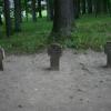 Stelmužės kaimo I Pasaulinio karo vokiečių karių kapinės