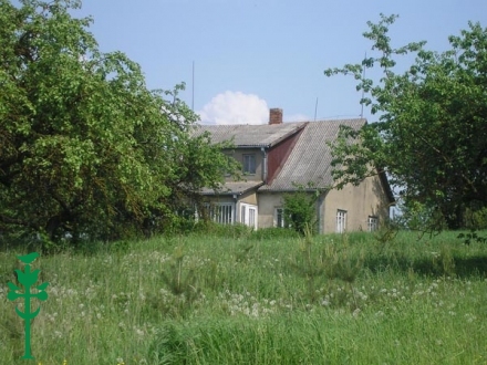 Manoma, kad šiame Šeiniūnų kaimo name gimė Ignas Šeinius
