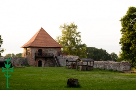 Trakų pusiasalio pilis