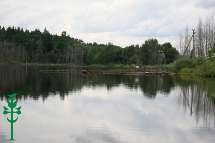 Cirkliškio dvaro parkas