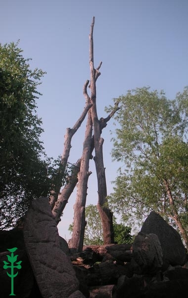 Orvidų sodyboje, Gargždelėje